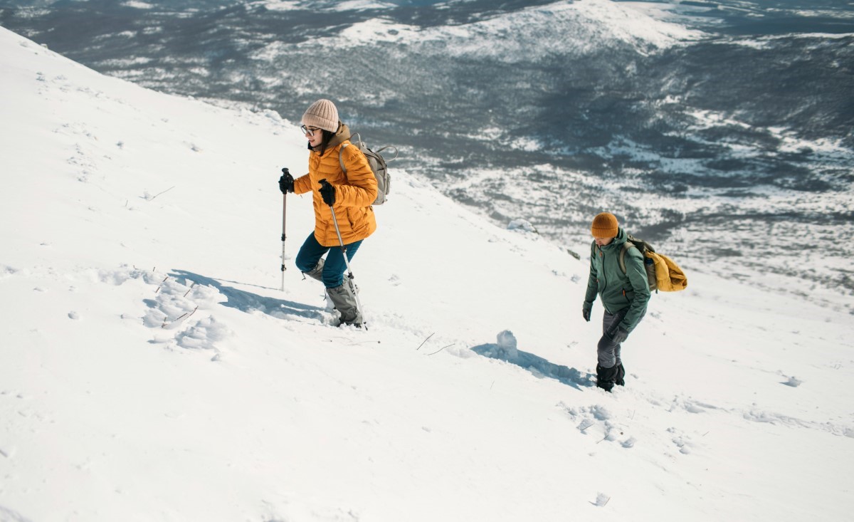 activités estivales et hivernales